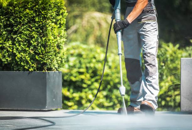 Best Restaurant Pressure Washing  in Carey, OH